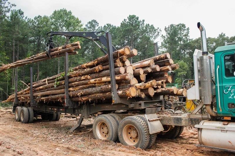 Timber Harvesting & Transportation